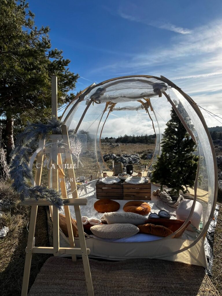 Picnic hiver